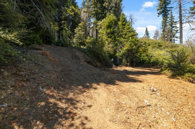 2472 Fanning Grade, Ben Lomond CA: https://media.crmls.org/mediaz/dd65249e-6ce1-4d15-886c-e05fecaf08da.jpg