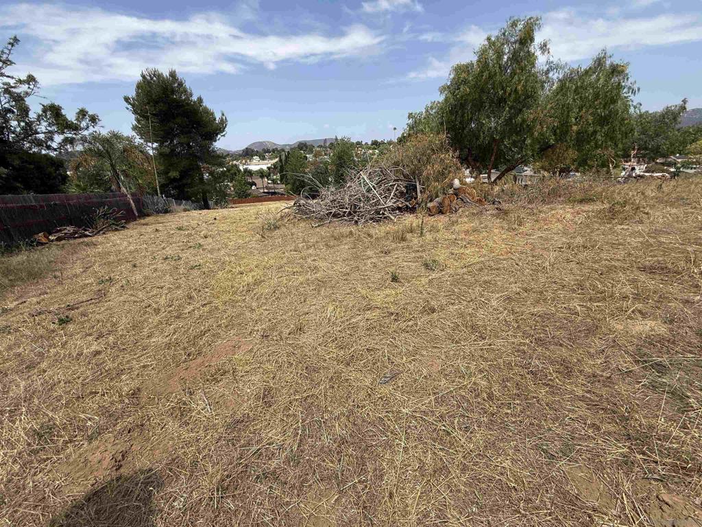 1565 Montiel Rd - photo 13