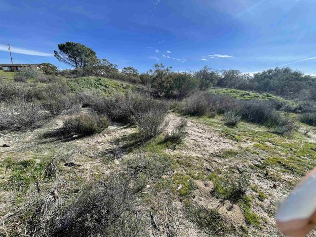 Detail Gallery Image 33 of 37 For 1902 Tierra Del Sol Rd, Boulevard,  CA 91905 - 3 Beds | 2 Baths