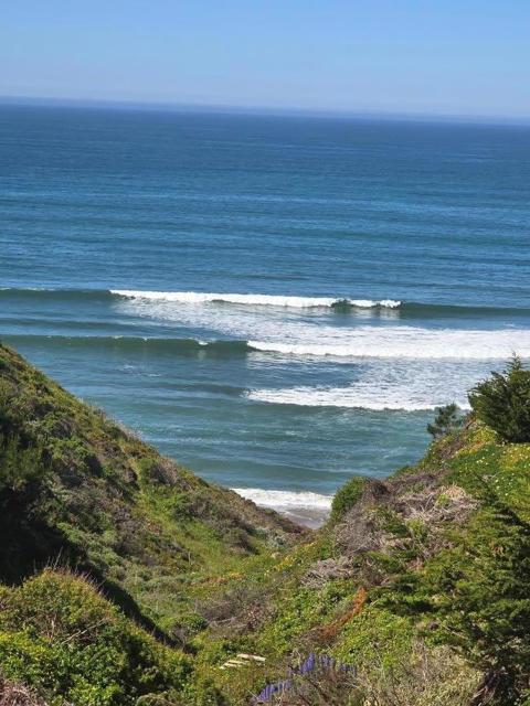 Image 40 of 42 For 420 Sand Dollar Drive