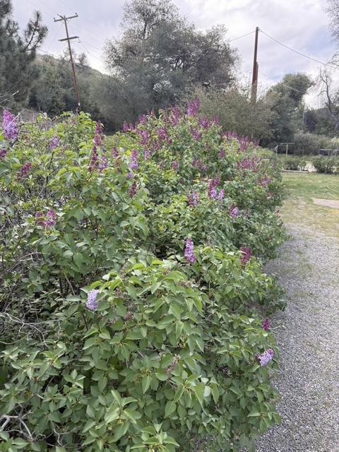 26742 San Felipe Rd, Warner Springs CA: https://media.crmls.org/mediaz/dd7a64ef-88d5-43f3-add4-47e3f9f3f11a.jpg