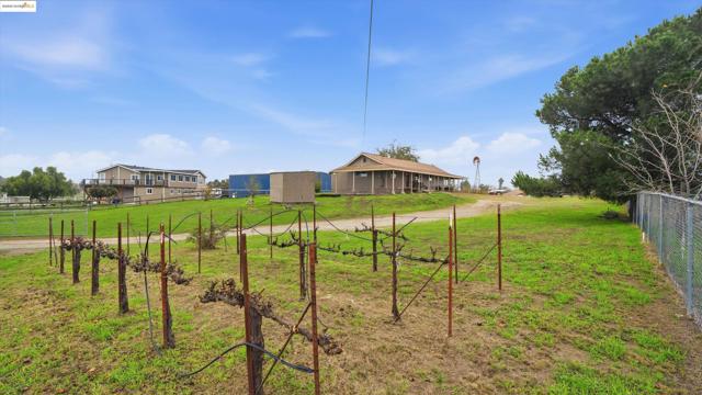 5372 Tule Tree Ln, Oakley CA: https://media.crmls.org/mediaz/dd80f3e0-954b-4332-b5c1-fbf5f161b8aa.jpg