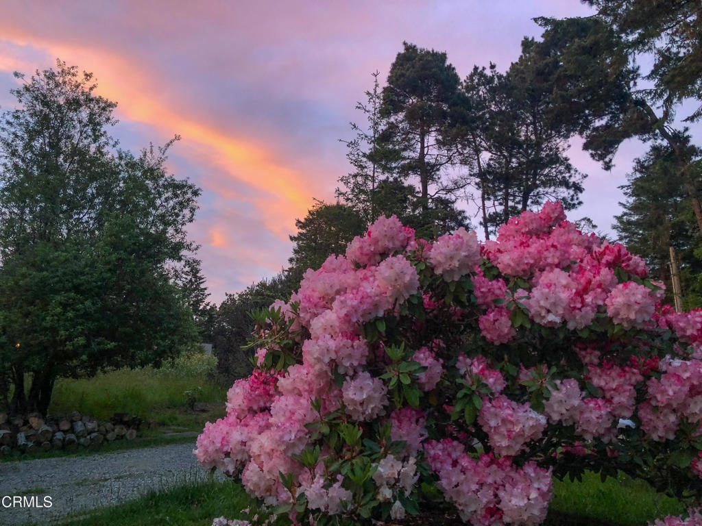 https://media.crmls.org/mediaz/dd86c2b8-d1b7-4f2a-a671-24f9e3d7c915.jpg?preset=X-Large