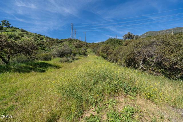 Detail Gallery Image 8 of 36 For 4700 Rising Hill Rd, Altadena,  CA 91001 - – Beds | – Baths