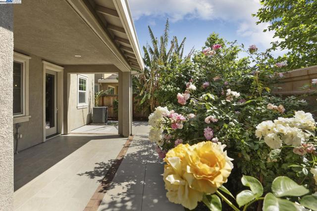 1503 S Oliveira Dr, Mountain House CA: https://media.crmls.org/mediaz/dd9a6c0d-3d03-46a4-a45f-d8dc9fb9386f.jpg
