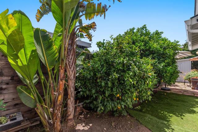 1965 42nd Avenue, Capitola CA: https://media.crmls.org/mediaz/dd9d52d9-d756-46c5-bff1-97344daf5d71.jpg