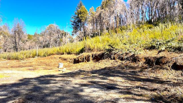 11035 Empire Grade, Santa Cruz CA: https://media.crmls.org/mediaz/dd9f9e42-55ea-4a7a-8c94-228f6c25a8ec.jpg