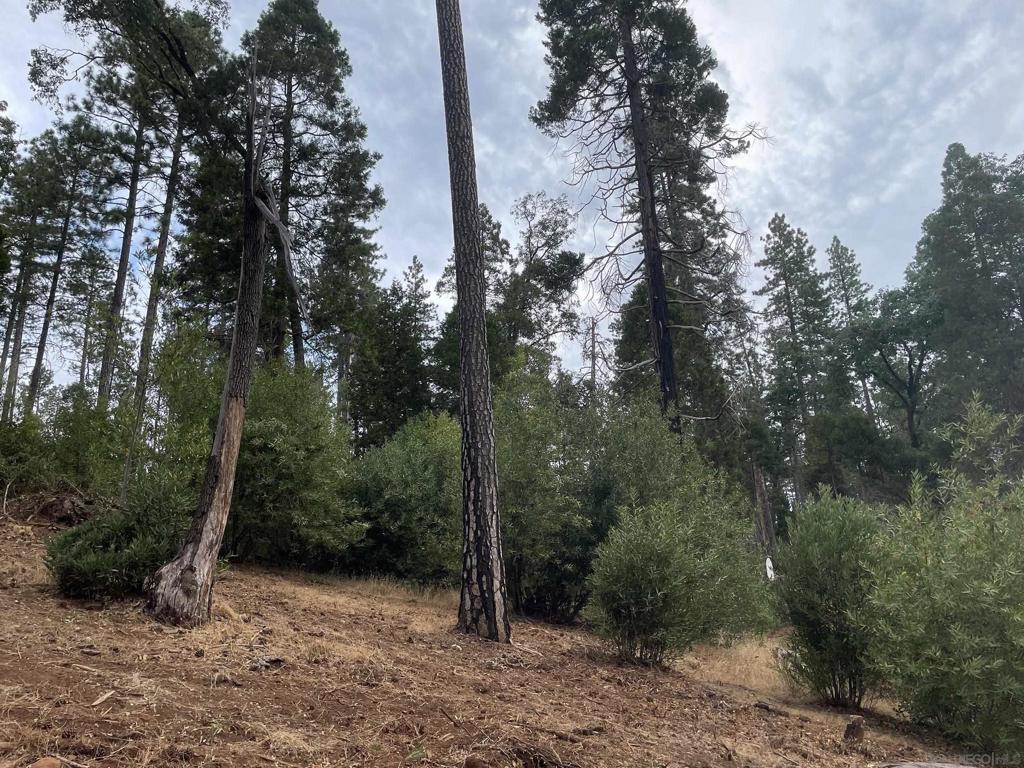 MLS #250037729SD image #7