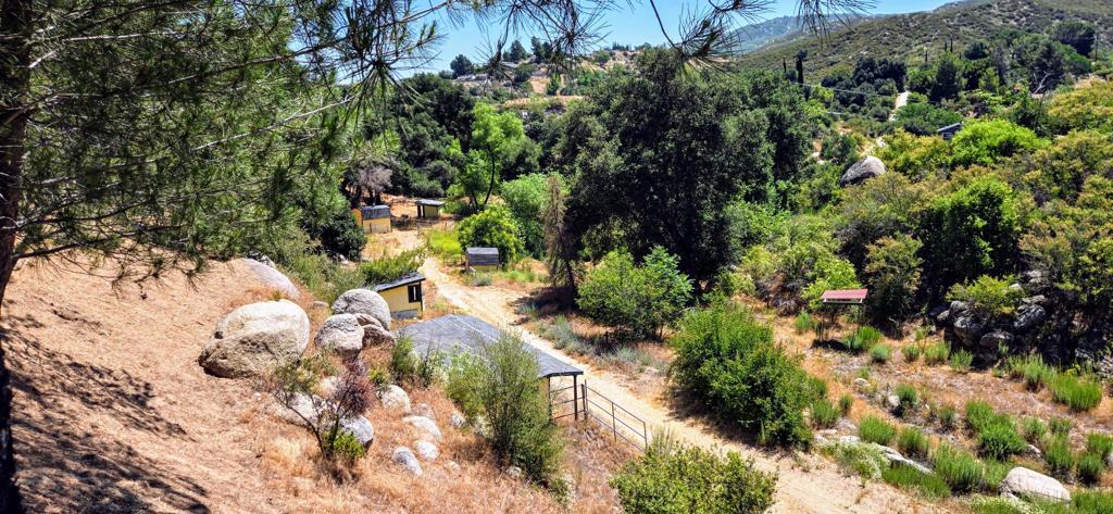 MLS #219133744DA image #19