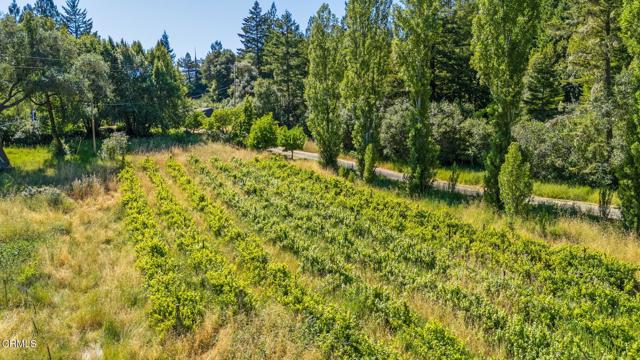 7950 Flynn Creek Road, Comptche CA: https://media.crmls.org/mediaz/dda47d19-f5ff-41c6-b8d5-6827bf1feb6e.jpg
