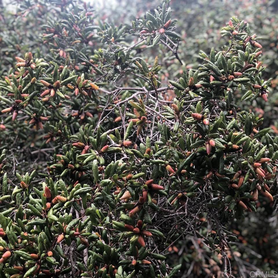 MLS #NDP2403618 image #17