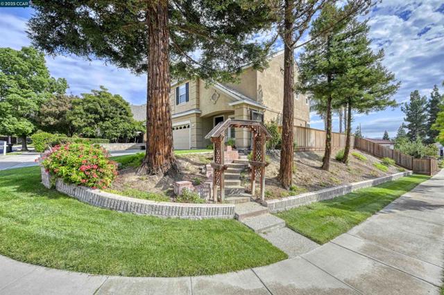 713 Tennyson Dr, Livermore CA: https://media.crmls.org/mediaz/ddab21b4-d9e5-40c6-953e-00cc33113d04.jpg