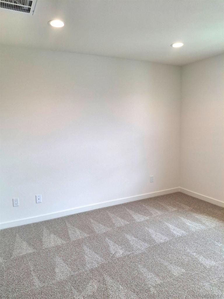 2586 Delphinium - photo 14