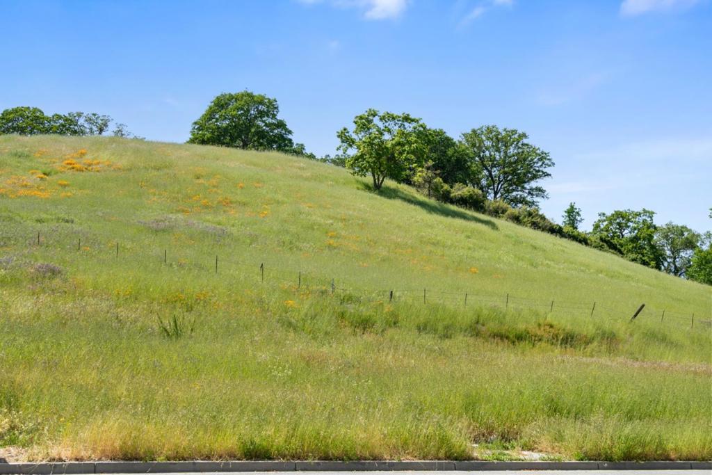 MLS #ML81926110 image #13