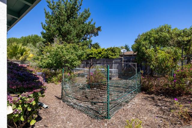 1186 Jewell Avenue, Pacific Grove, California 93950, ,Multi-Family,For Sale,Jewell,ML81904297