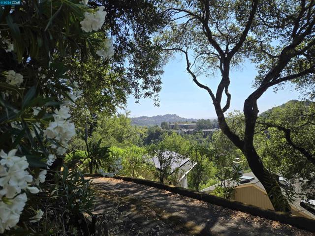 100 Black Log Rd, Kentfield CA: https://media.crmls.org/mediaz/ddb341e1-f8fb-43b2-a514-90adc520cc12.jpg