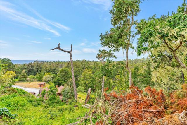 81 Corona Road, Carmel CA: https://media.crmls.org/mediaz/ddb8a211-c2d4-4e7d-877d-6f5c82fb88b6.jpg