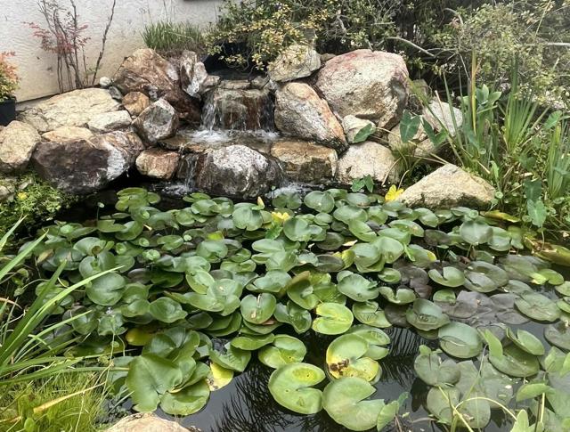 1707 Santa Margarita Drive, Fallbrook CA: https://media.crmls.org/mediaz/ddc40571-112f-4bbd-bc48-9b195e34db73.jpg