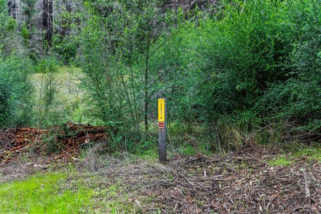 21200 Big Basin Way, Boulder Creek CA: https://media.crmls.org/mediaz/ddc59fc2-74bc-49d1-911a-59752c2dc818.jpg