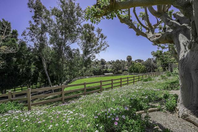 5305 La Crescenta, Rancho Santa Fe CA: https://media.crmls.org/mediaz/ddc6b504-72da-4f9e-b079-83986e6bc5b2.jpg