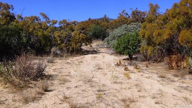 Detail Gallery Image 39 of 41 For 37245 Old Forest Rd, Anza,  CA 92539 - – Beds | – Baths