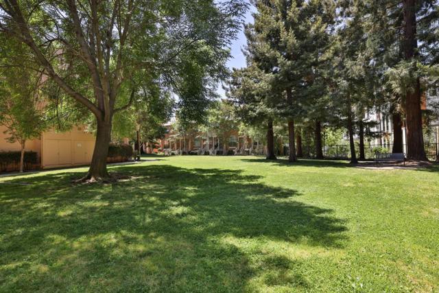 101 Showers Court, Mountain View CA: https://media.crmls.org/mediaz/ddc9e721-3417-4917-af64-7138c814e590.jpg