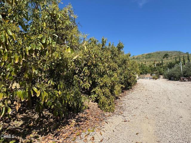 Detail Gallery Image 15 of 39 For 7907 Balcom Canyon Rd, Somis,  CA 93066 - – Beds | – Baths