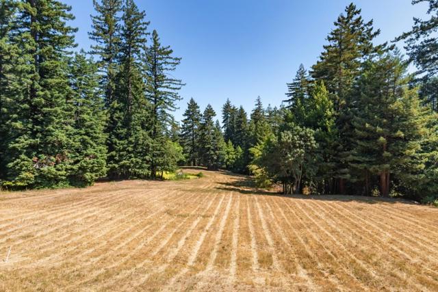 22700 Old Santa Cruz Highway, Los Gatos CA: https://media.crmls.org/mediaz/ddced684-e289-41bb-8dfe-d6a70017e84d.jpg