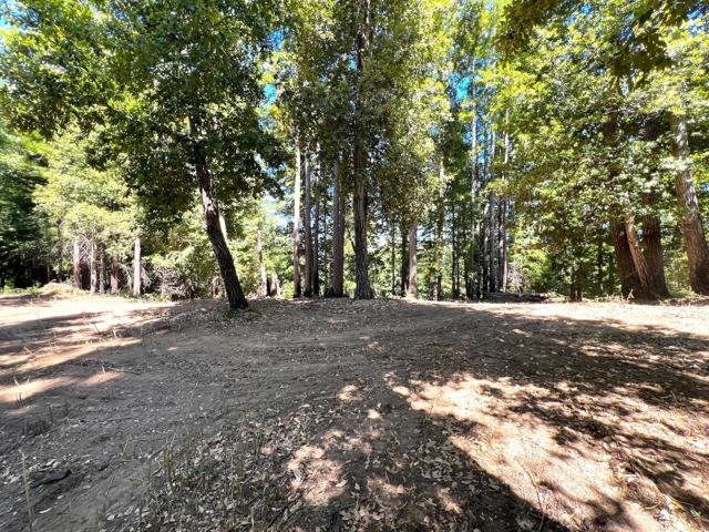 0 E Hilton, Boulder Creek CA: https://media.crmls.org/mediaz/ddd15fde-2ea0-437b-8fd0-5cd2b4f96e04.jpg