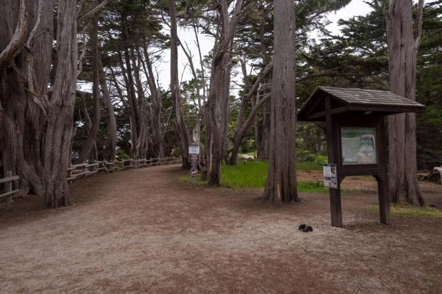 0 Oak Avenue, Moss Beach CA: https://media.crmls.org/mediaz/ddd55b07-7188-49f7-9dd6-aa2450a1edf4.jpg