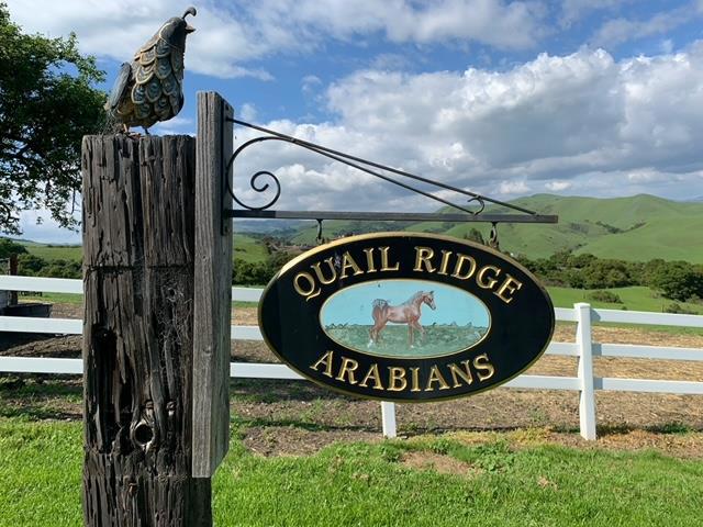 1537 School Road, San Juan Bautista CA: https://media.crmls.org/mediaz/dddb9c72-bd3d-48c0-af81-149b6ca5d262.jpg