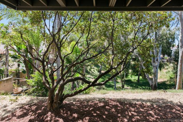 4465 GESNER STREET, San Diego CA: https://media.crmls.org/mediaz/dde16331-ecf3-4308-a4c1-e046ba33e536.jpg