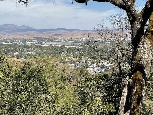 3984 Foothill Rd, Pleasanton CA: https://media.crmls.org/mediaz/ddf0c357-2683-4b62-aea5-f9a217a86d87.jpg