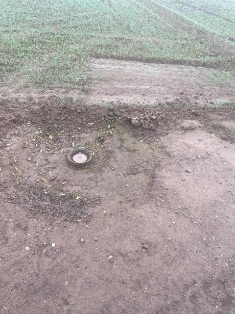 Image 5 of 20 For 31216 Sullivan Road