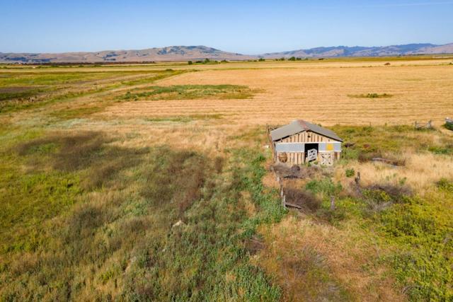 6200 Frye Lane, Hollister CA: https://media.crmls.org/mediaz/ddff6f58-8cc1-47f5-8a75-d39def42ebd6.jpg