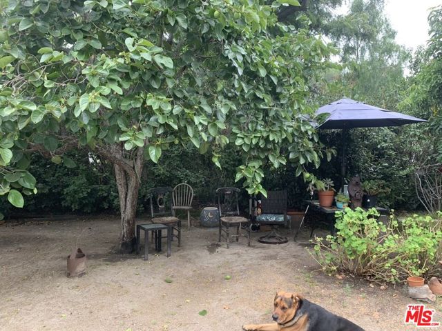 31523 Aguacate Road, San Juan Capistrano CA: https://media.crmls.org/mediaz/de09d544-ba5d-430f-8160-a403f376e0e5.jpg