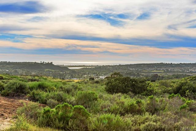 Detail Gallery Image 36 of 74 For 4170 Andros Way, Oceanside,  CA 92056 - 3 Beds | 3/1 Baths