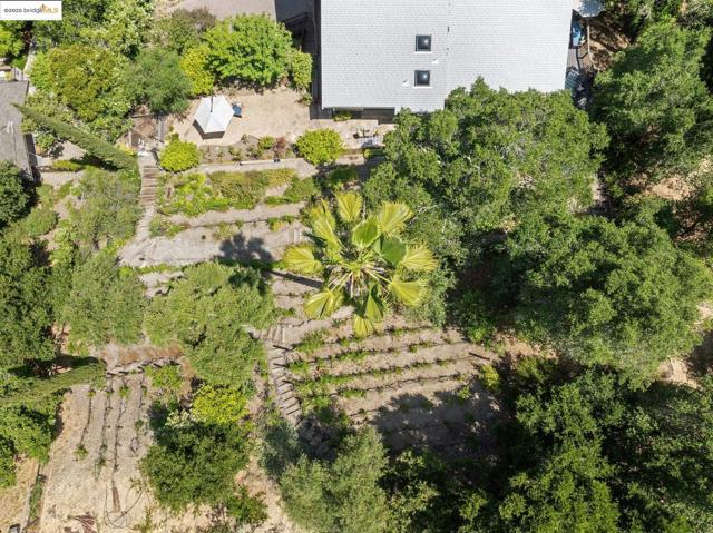 151 La Espiral, Orinda CA: https://media.crmls.org/mediaz/de189f4c-e5c9-4de7-8517-1694254ec286.jpg