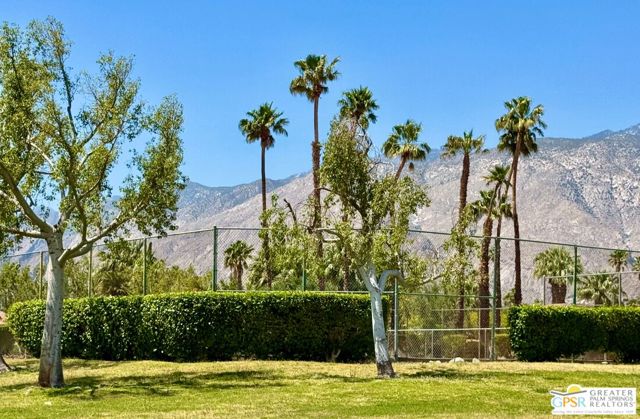 1533 N Sunflower Court, Palm Springs CA: https://media.crmls.org/mediaz/de1a6b9e-d202-41fd-b0dc-5737909e58c2.jpg