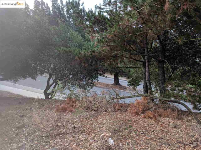 0 Redwood Rd, Oakland CA: https://media.crmls.org/mediaz/de240da2-3b78-4b3c-baff-84907eec2757.jpg