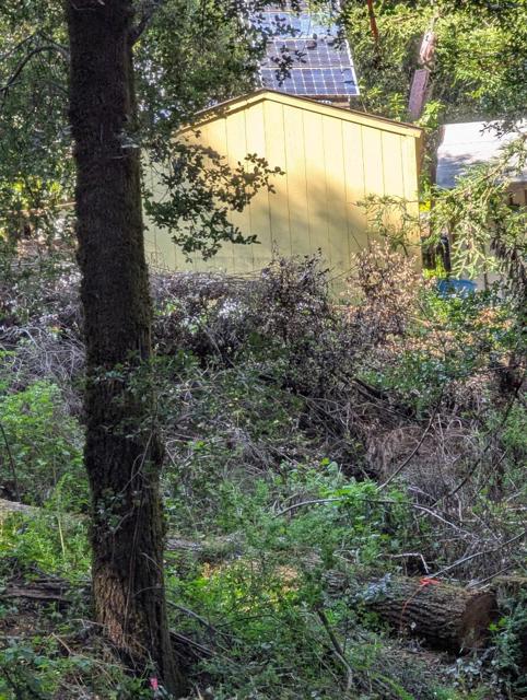 11259 Fresco Street, Felton CA: https://media.crmls.org/mediaz/de25d5c9-a9ec-43ed-abfb-411e2f8018fc.jpg
