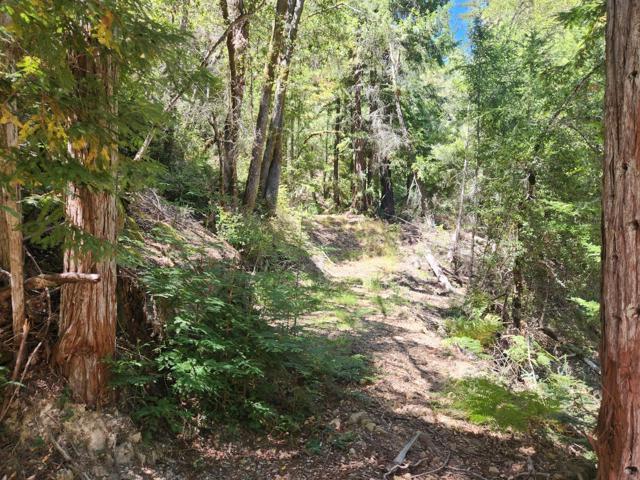 510 East Road, Boulder Creek CA: https://media.crmls.org/mediaz/de25e75f-6d9e-44fc-8712-f55d6d1d5a9c.jpg