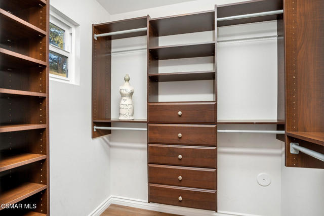 Downstairs Bedroom Closet