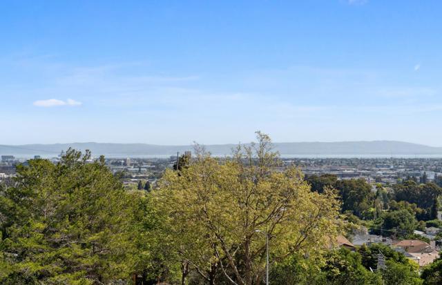 2506 Sage Street, San Mateo CA: https://media.crmls.org/mediaz/de3354f9-6aa4-4291-9e0e-47ae816c8928.jpg