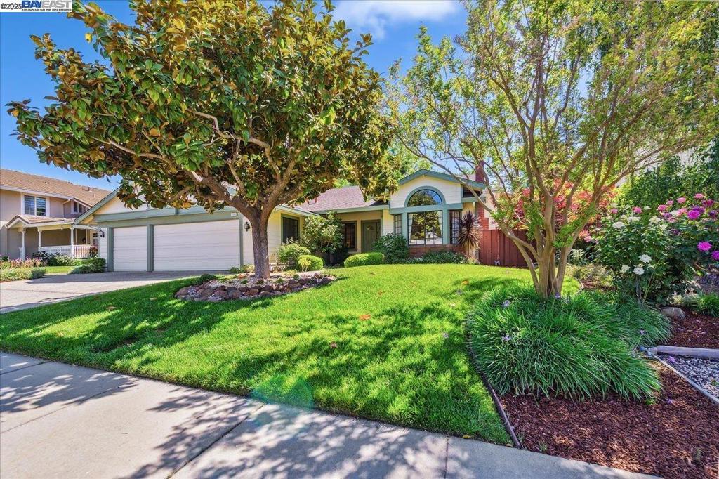 3126 Arbor Dr
