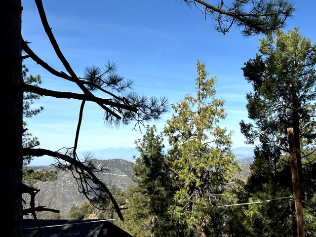 0 Green Craig, Idyllwild CA: https://media.crmls.org/mediaz/de47f6dc-63cd-47fa-95e3-0cc3d689bcac.jpg