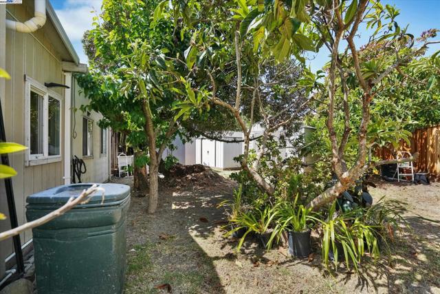 4909 Romeo, Fremont CA: https://media.crmls.org/mediaz/de4b42b7-5d0d-42f9-9a54-b6d8d142ab42.jpg