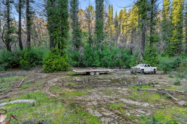 21200 Big Basin Way, Boulder Creek CA: https://media.crmls.org/mediaz/de4be0df-29bc-4382-825c-0fabe963eff2.jpg