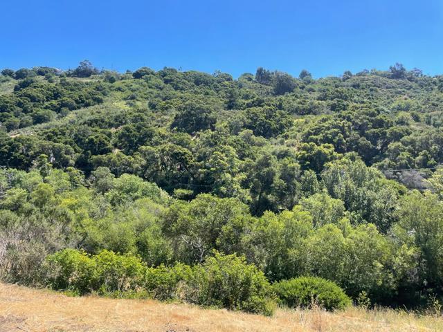 0 Tartan Trail Road, Hillsborough CA: https://media.crmls.org/mediaz/de58b86c-beec-421b-bda6-1d79bc60b2f6.jpg