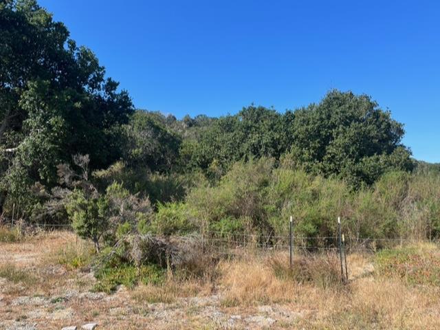 0 Laureles Grade, Salinas CA: https://media.crmls.org/mediaz/de7233f3-37a5-4b14-bf56-ae6f8ca39918.jpg